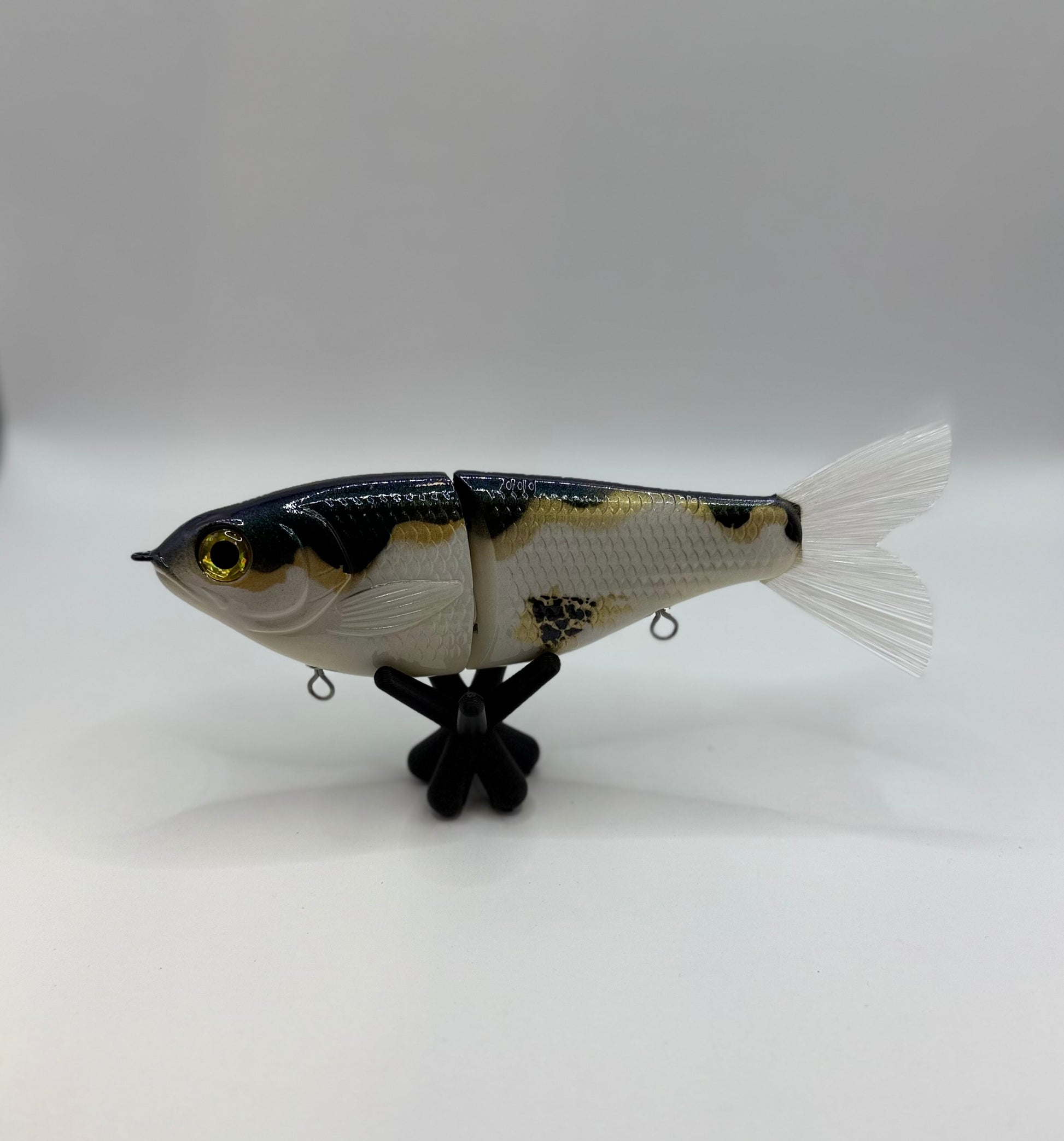 Fat Shad