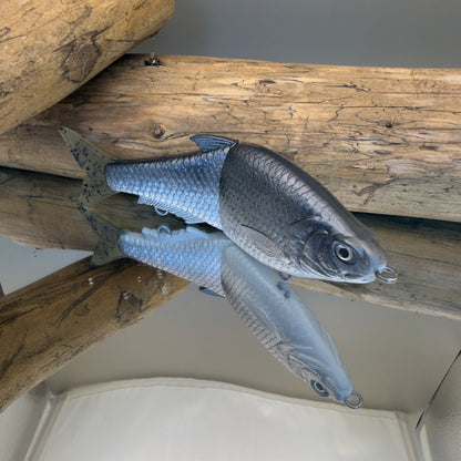 Fat Shad - Silver Shad