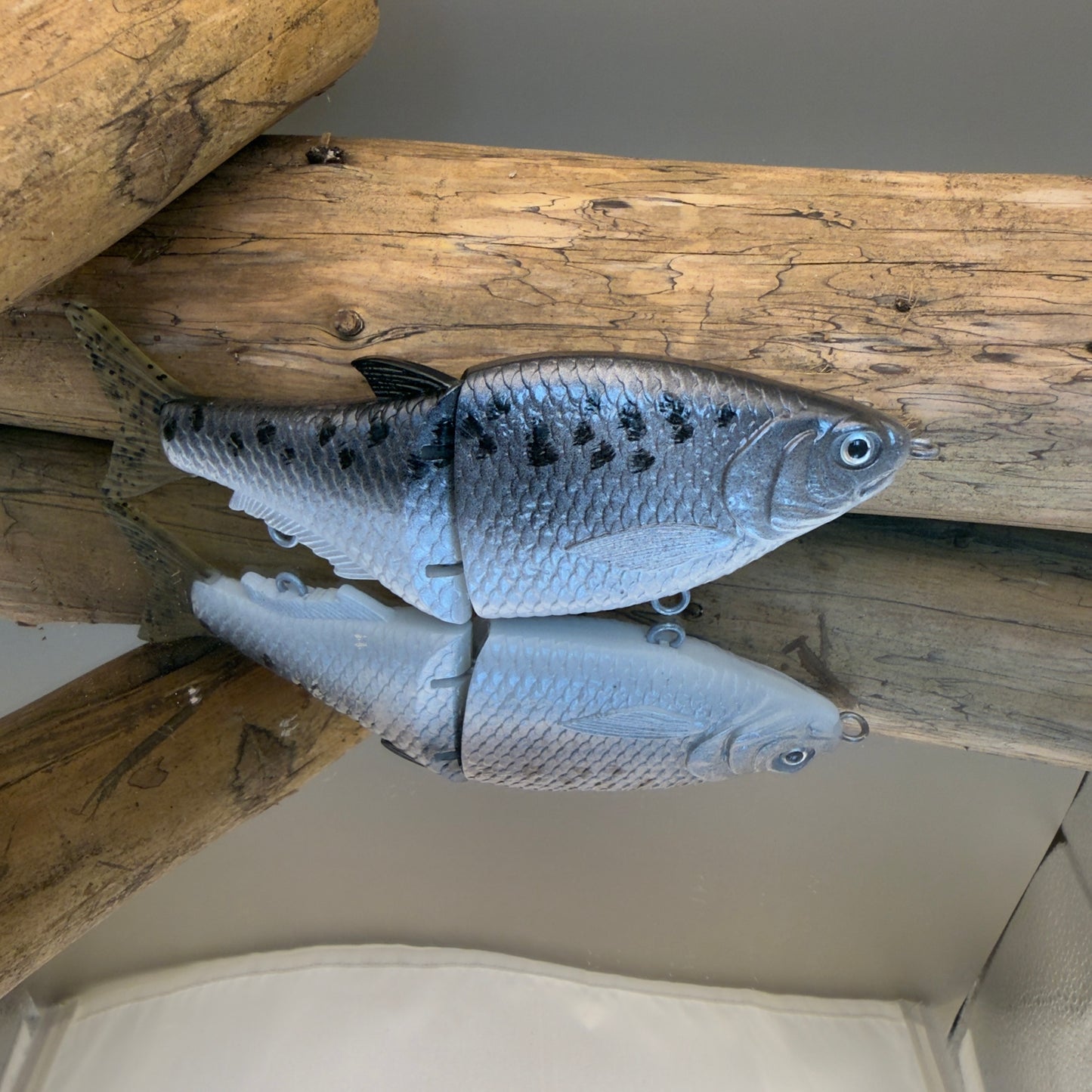 Fat Shad - Speckle Shad