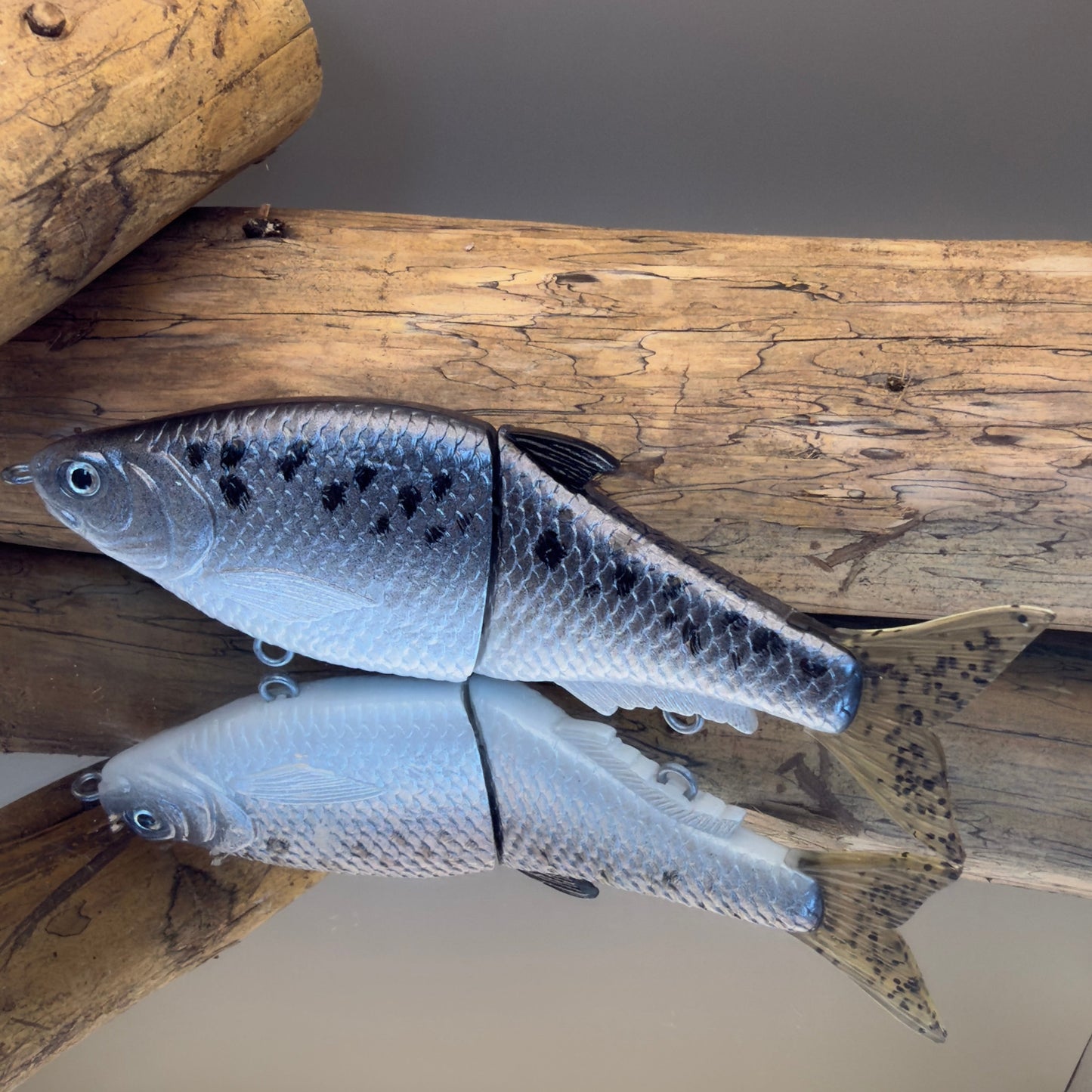 Fat Shad - Speckle Shad